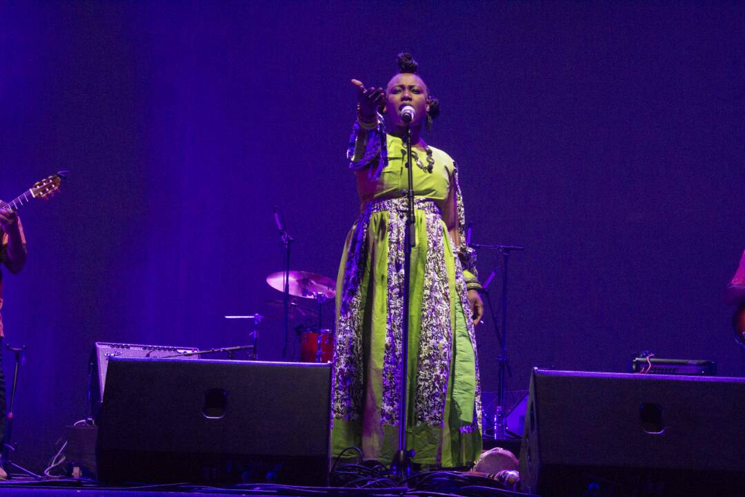 Fanie Fayar – 15.07.2023